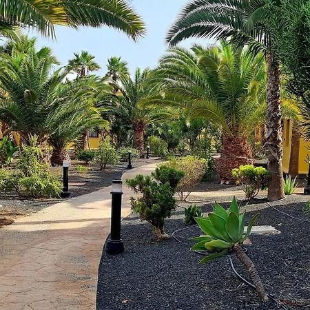 Appartamento Frangipani Con Terrazza E Piscina Corralejo Luaran gambar