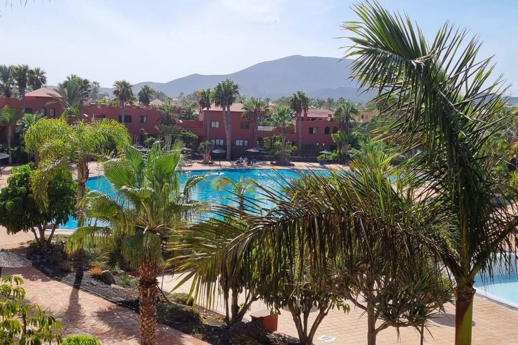 Appartamento Frangipani Con Terrazza E Piscina Corralejo Luaran gambar