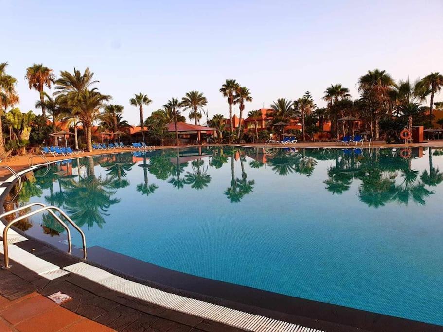 Appartamento Frangipani Con Terrazza E Piscina Corralejo Luaran gambar